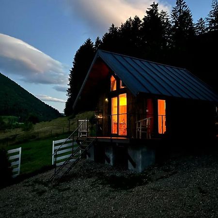 Bramble Tiny House Villa Zărneşti Buitenkant foto