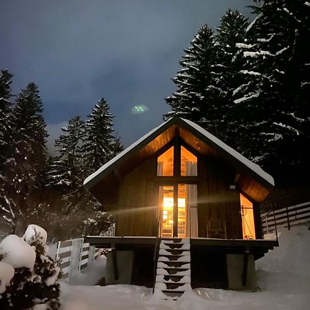 Bramble Tiny House Villa Zărneşti Buitenkant foto