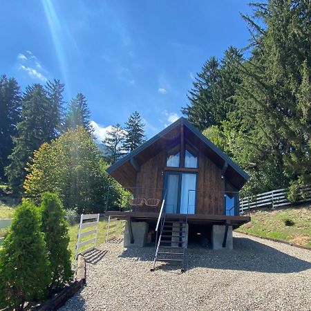Bramble Tiny House Villa Zărneşti Buitenkant foto