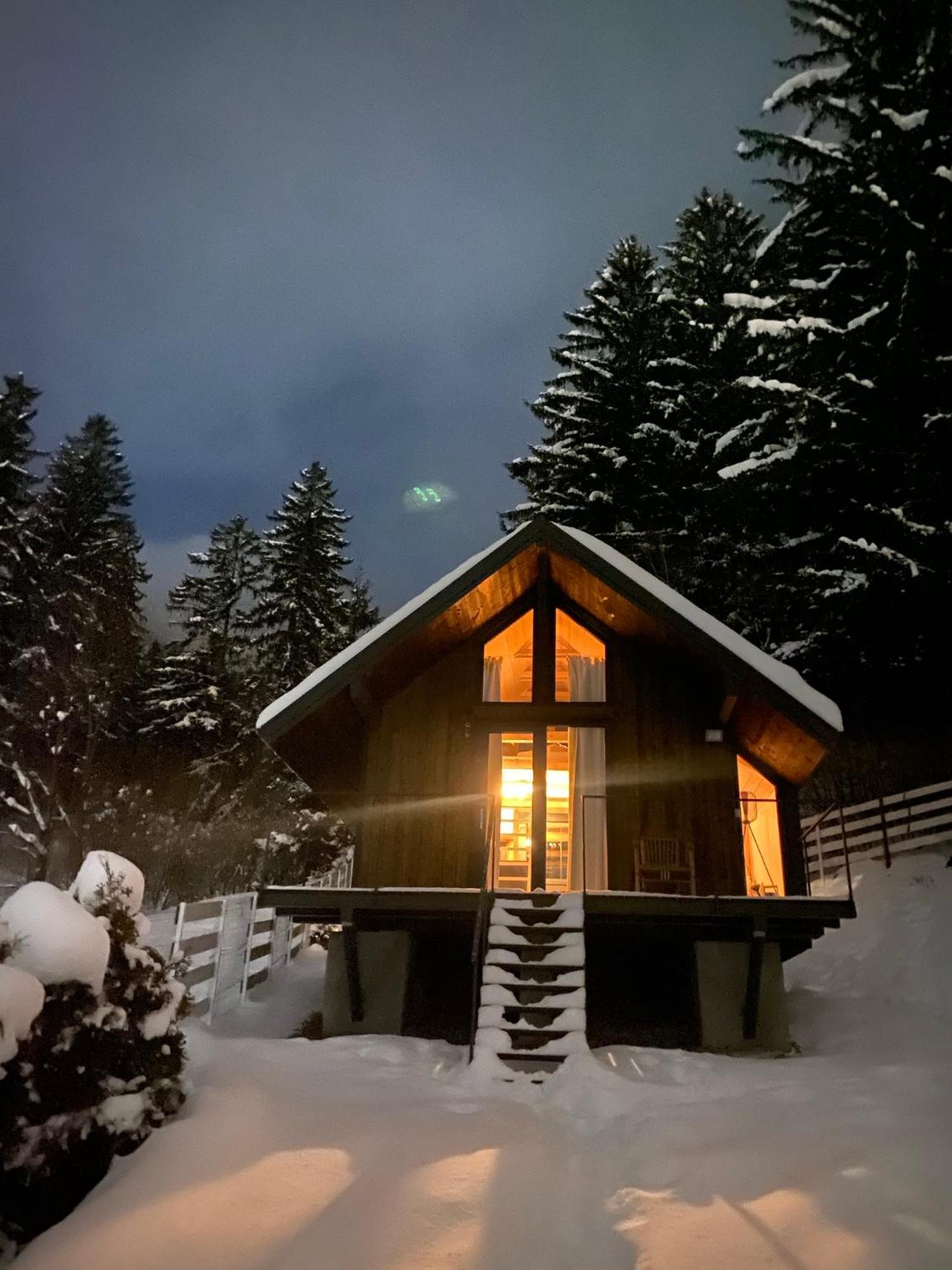 Bramble Tiny House Villa Zărneşti Buitenkant foto
